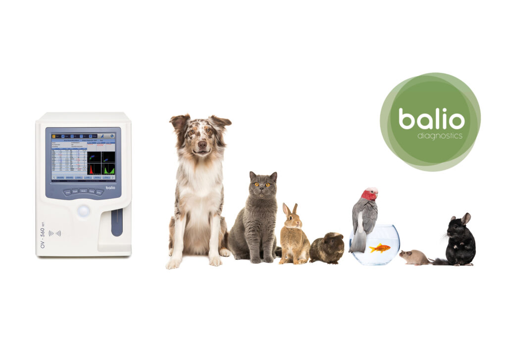 balio diagnostics veterinaire